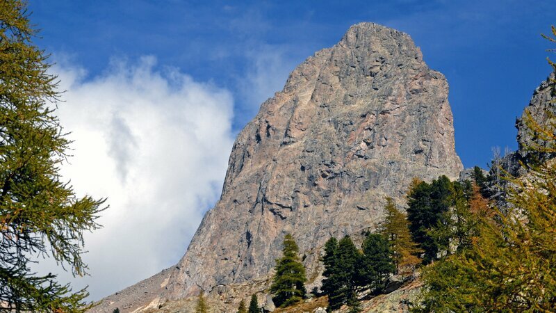Cime de la Cougourde. Archivio PNM, autore F. Guigo
