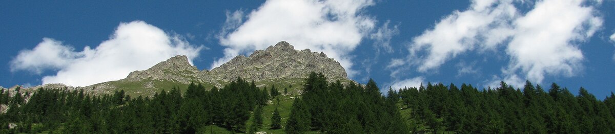 Veduta della cima Gran Madre di Dio ripresa dal Pian della Casa, con il versante roccioso che emerge sopra una fitta foresta di larici sotto un cielo blu punteggiato di nuvole bianche. Archivio APAM. Fine descrizione dell’immagine.
