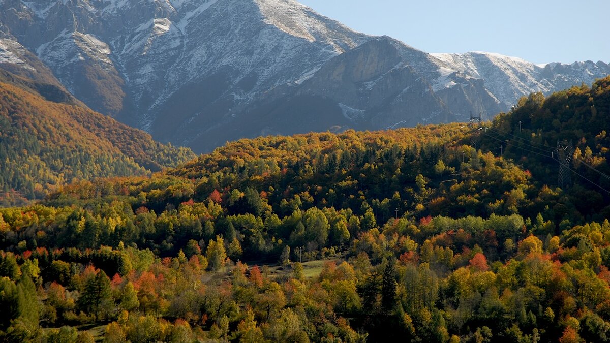 Nella fotografia si vede il paesaggio boschivo della media Valle Gesso (Entracque) | A. Rivelli.