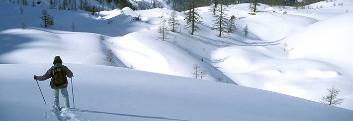 Escursionista in un paesaggio innevato, circondato da dolci pendii e larici spogli sotto la luce limpida dell’inverno nelle Alpi Marittime. Archivio APAM. Fine descrizione dell’immagine.